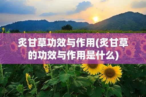 炙甘草功效与作用(炙甘草的功效与作用是什么)