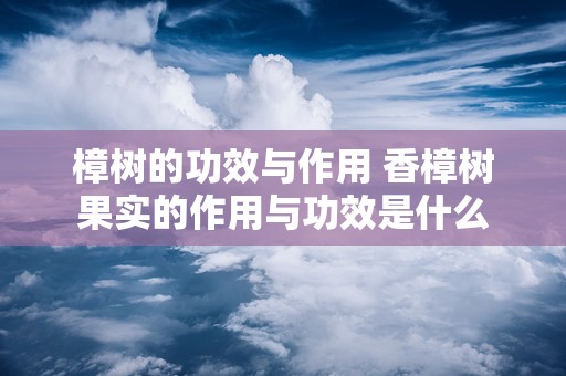 樟树的功效与作用 香樟树果实的作用与功效是什么