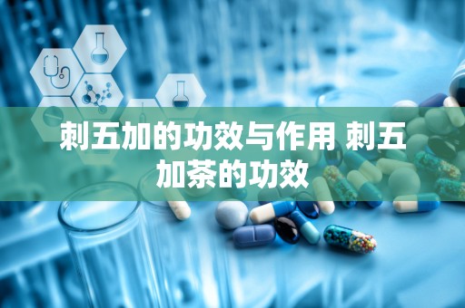 刺五加的功效与作用 刺五加茶的功效