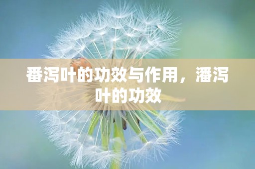 番泻叶的功效与作用，潘泻叶的功效