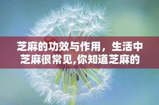 芝麻的功效与作用，生活中芝麻很常见,你知道芝麻的功效与作用有哪些嘛