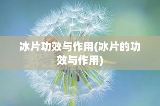 冰片功效与作用(冰片的功效与作用)