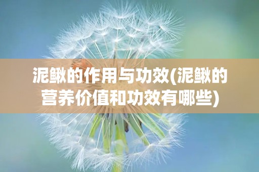 泥鳅的作用与功效(泥鳅的营养价值和功效有哪些)