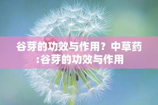 谷芽的功效与作用？中草药:谷芽的功效与作用