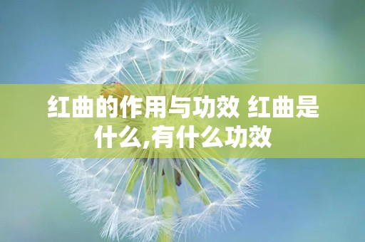 红曲的作用与功效 红曲是什么,有什么功效