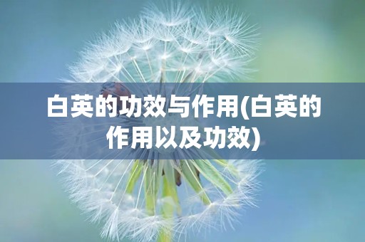 白英的功效与作用(白英的作用以及功效)