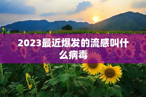 2023最近爆发的流感叫什么病毒