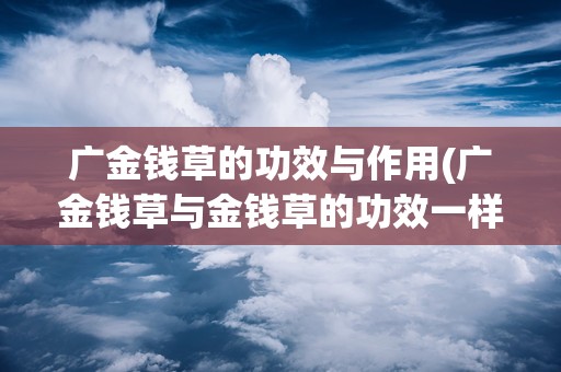 广金钱草的功效与作用(广金钱草与金钱草的功效一样吗)