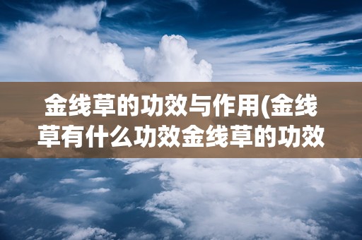 金线草的功效与作用(金线草有什么功效金线草的功效与作用)