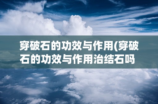 穿破石的功效与作用(穿破石的功效与作用治结石吗 穿破石泡水喝可以保肝吗)