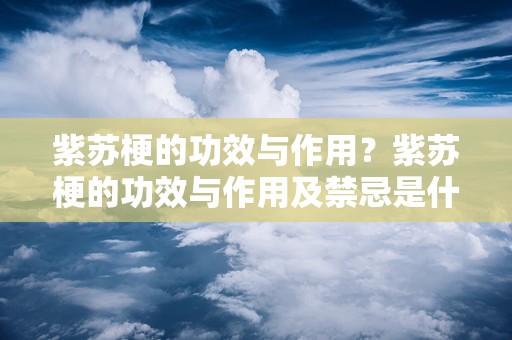 紫苏梗的功效与作用？紫苏梗的功效与作用及禁忌是什么