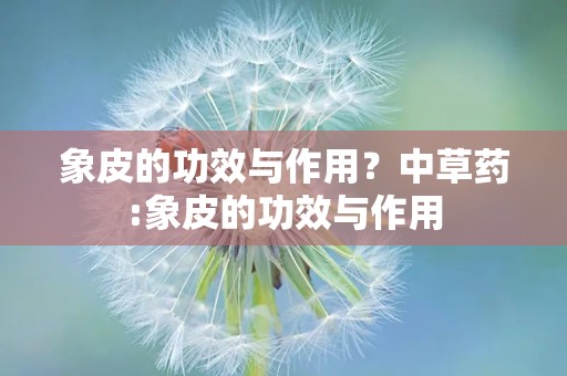 象皮的功效与作用？中草药:象皮的功效与作用