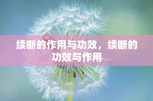 续断的作用与功效，续断的功效与作用