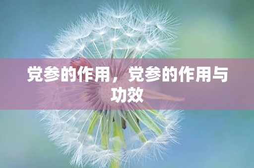 党参的作用，党参的作用与功效