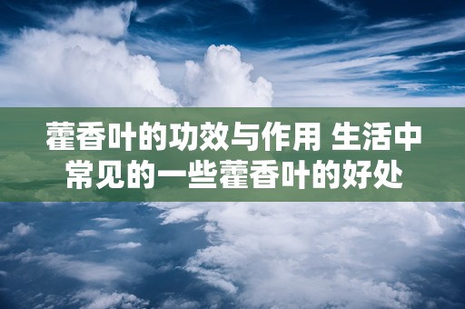 藿香叶的功效与作用 生活中常见的一些藿香叶的好处