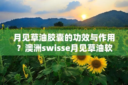 月见草油胶囊的功效与作用？澳洲swisse月见草油软胶囊有什么作用