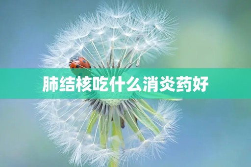 肺结核吃什么消炎药好