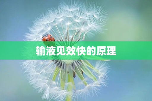 输液见效快的原理