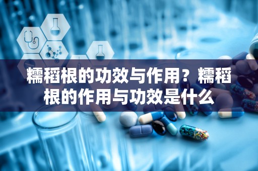 糯稻根的功效与作用？糯稻根的作用与功效是什么