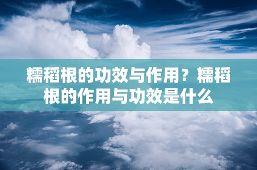 糯稻根的功效与作用？糯稻根的作用与功效是什么