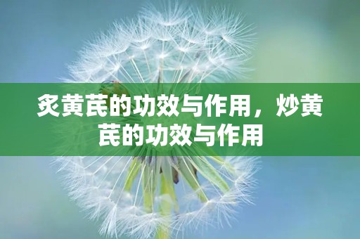 炙黄芪的功效与作用，炒黄芪的功效与作用