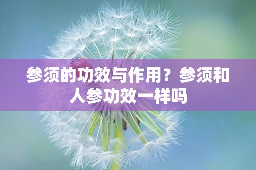 参须的功效与作用？参须和人参功效一样吗