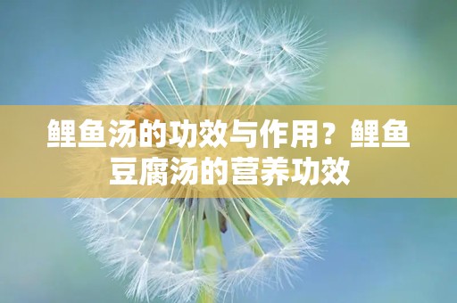 鲤鱼汤的功效与作用？鲤鱼豆腐汤的营养功效