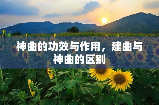 神曲的功效与作用，建曲与神曲的区别