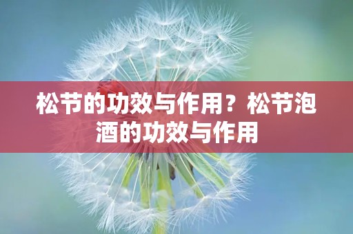 松节的功效与作用？松节泡酒的功效与作用