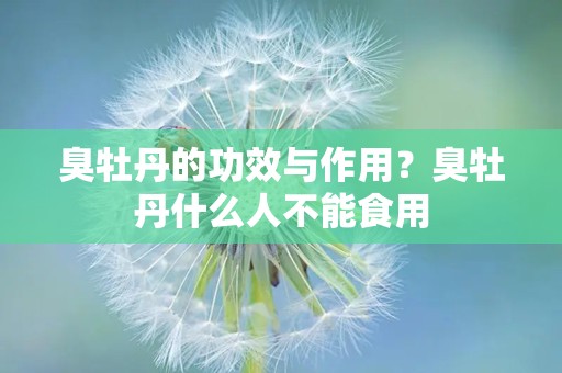 臭牡丹的功效与作用？臭牡丹什么人不能食用