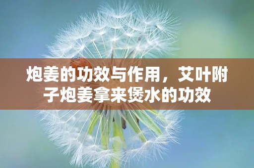 炮姜的功效与作用，艾叶附子炮姜拿来煲水的功效