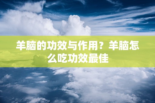 羊脑的功效与作用？羊脑怎么吃功效最佳