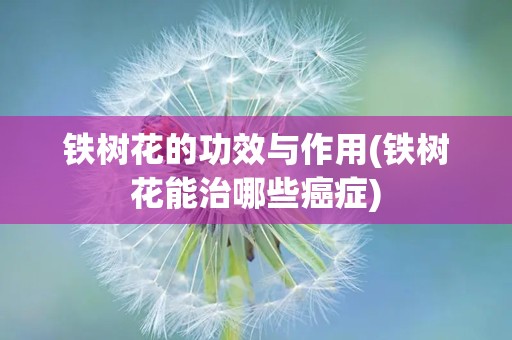 铁树花的功效与作用(铁树花能治哪些癌症)