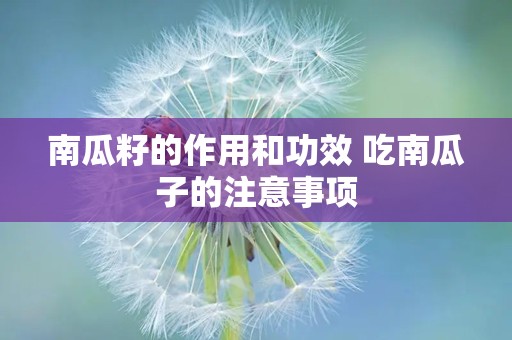 南瓜籽的作用和功效 吃南瓜子的注意事项