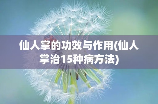 仙人掌的功效与作用(仙人掌治15种病方法)