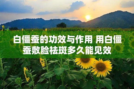 白僵蚕的功效与作用 用白僵蚕敷脸祛斑多久能见效