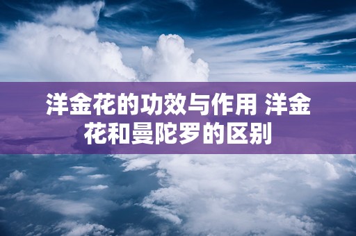 洋金花的功效与作用 洋金花和曼陀罗的区别