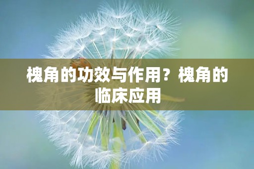 槐角的功效与作用？槐角的临床应用