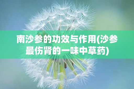 南沙参的功效与作用(沙参最伤肾的一味中草药)