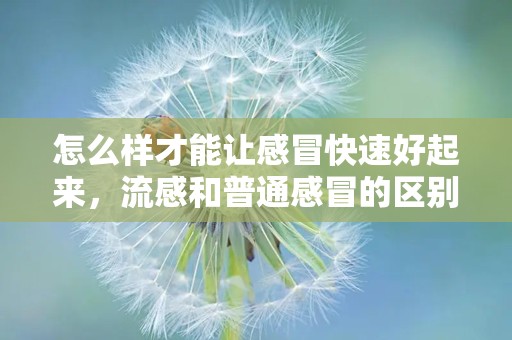 怎么样才能让感冒快速好起来，流感和普通感冒的区别