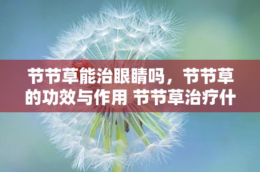 节节草能治眼睛吗，节节草的功效与作用 节节草治疗什么病