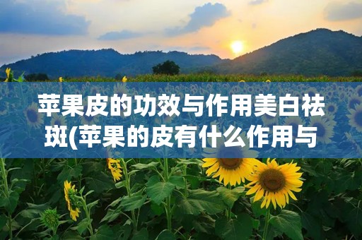 苹果皮的功效与作用美白祛斑(苹果的皮有什么作用与功效与作用吗)