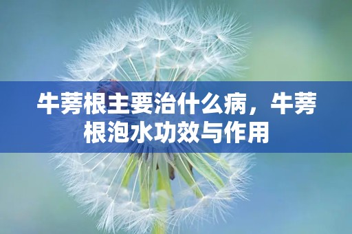 牛蒡根主要治什么病，牛蒡根泡水功效与作用