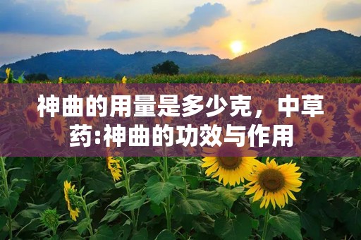 神曲的用量是多少克，中草药:神曲的功效与作用