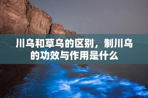 川乌和草乌的区别，制川乌的功效与作用是什么