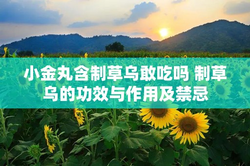 小金丸含制草乌敢吃吗 制草乌的功效与作用及禁忌