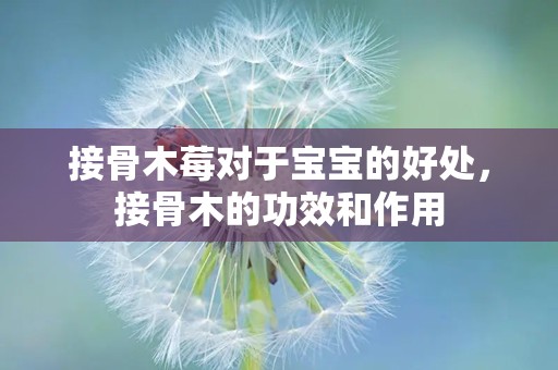 接骨木莓对于宝宝的好处，接骨木的功效和作用