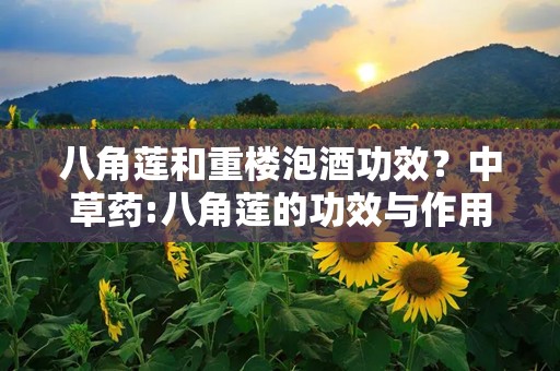 八角莲和重楼泡酒功效？中草药:八角莲的功效与作用