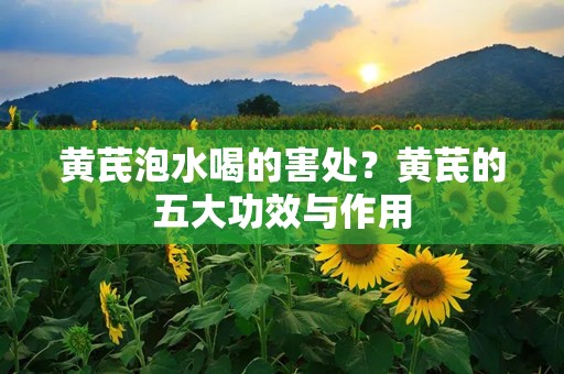 黄芪泡水喝的害处？黄芪的五大功效与作用