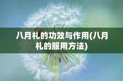 八月札的功效与作用(八月札的服用方法)